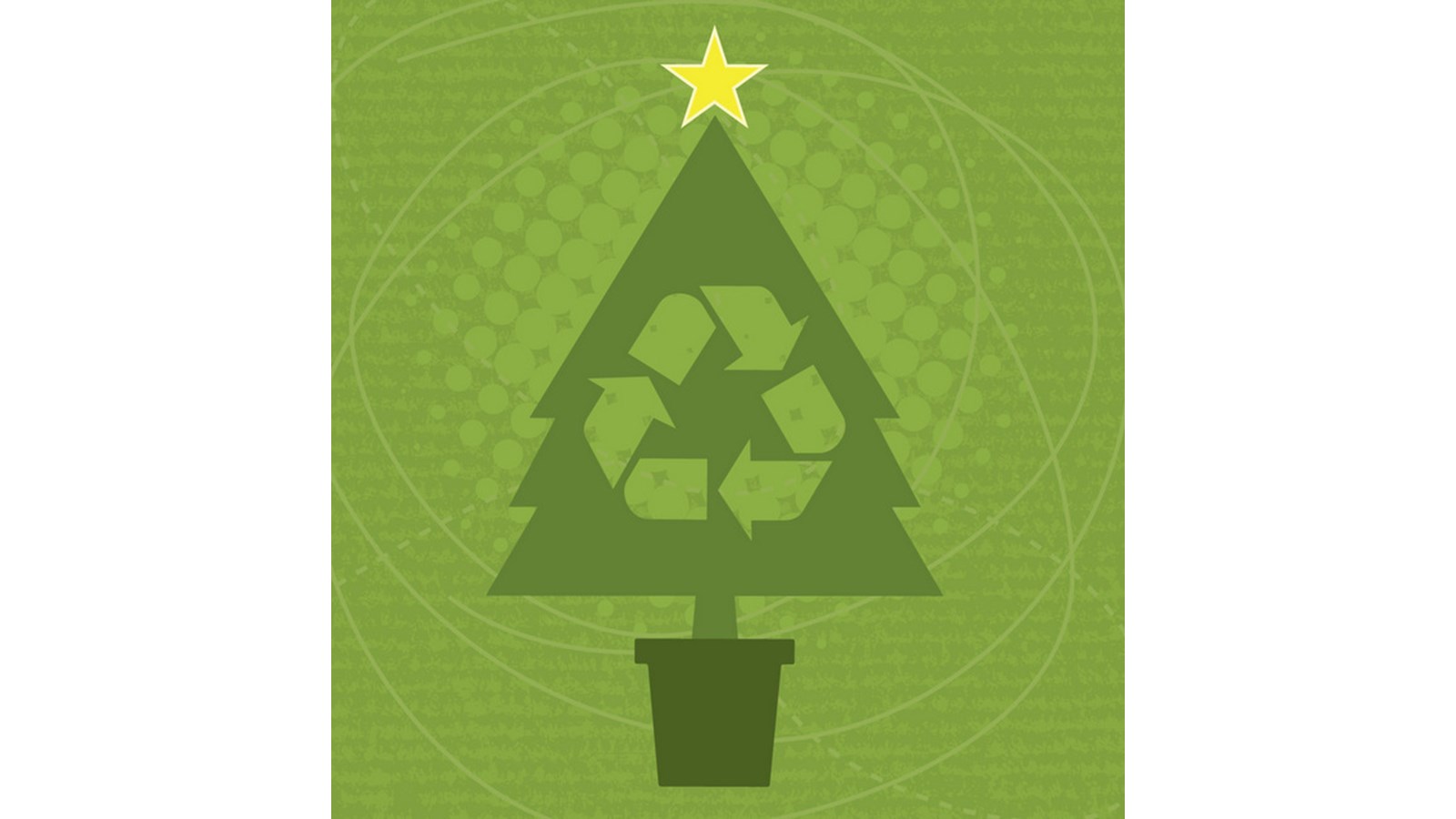 Un Noël écolo? C’est possible selon la Ville de Salaberry-de-Valleyfield  