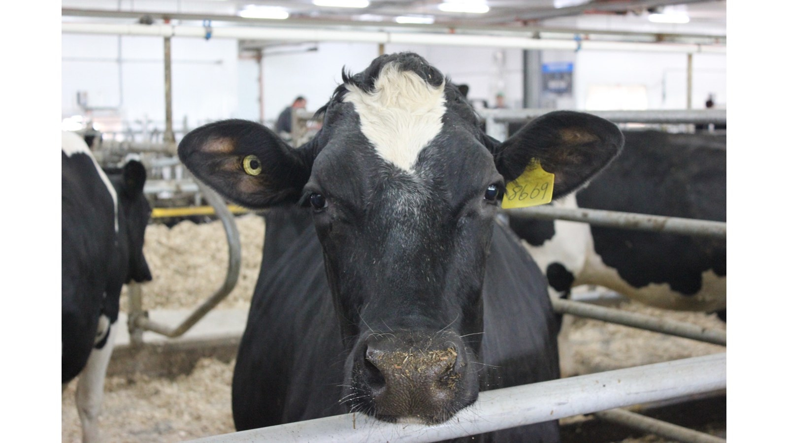 Entreprises agricoles recherchées pour la 16e édition 