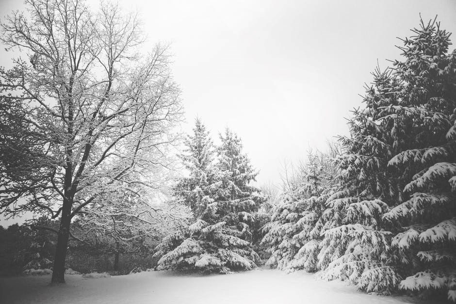 Néomédia Vaudreuil-Soulanges recherche les plus beaux paysages hivernaux de la région