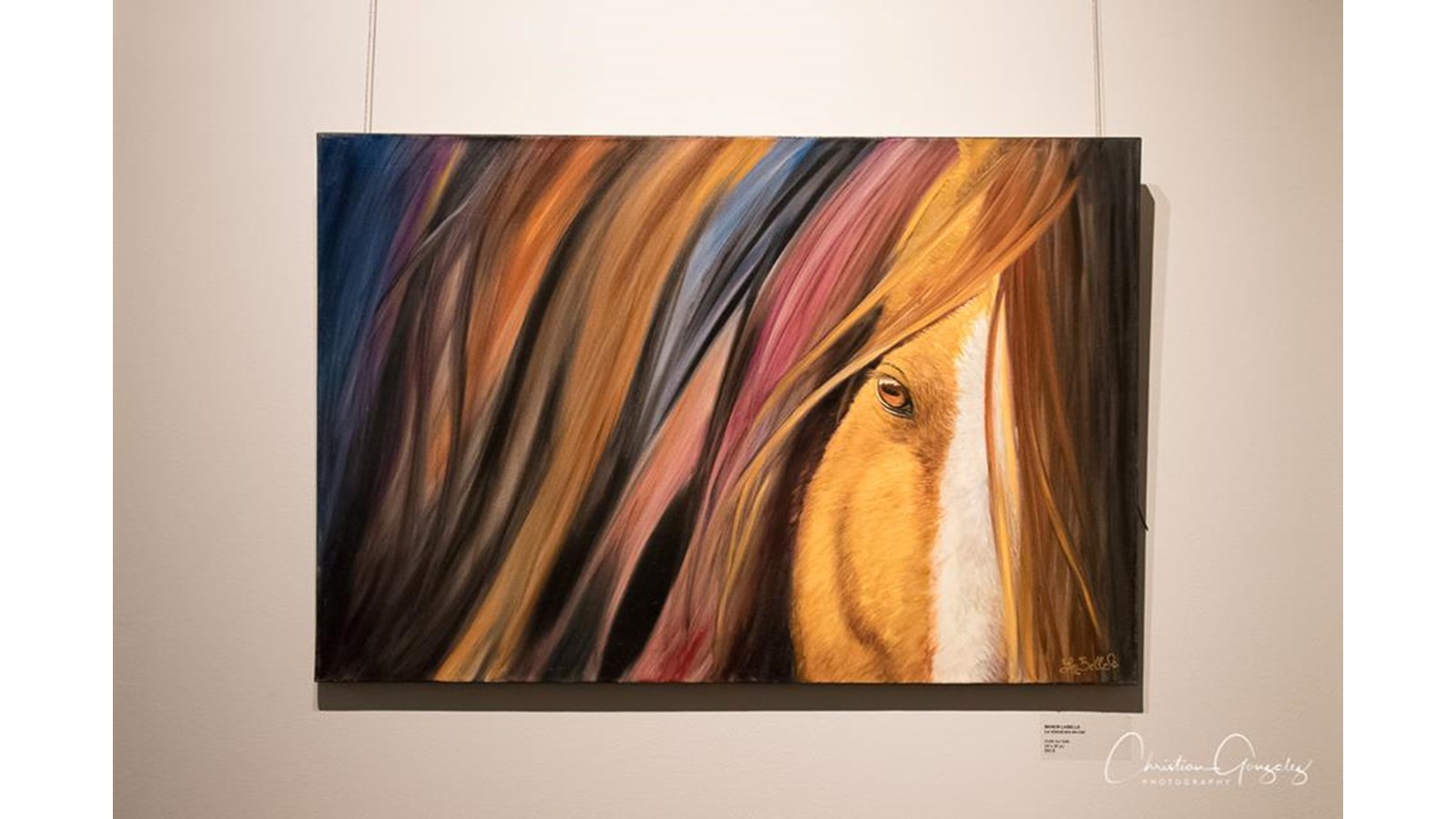 Deux univers, deux expositions, une seule galerie
