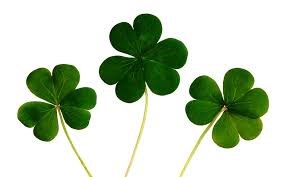 Trois endroits pour fêter la Saint-Patrick dans Vaudreuil-Soulanges