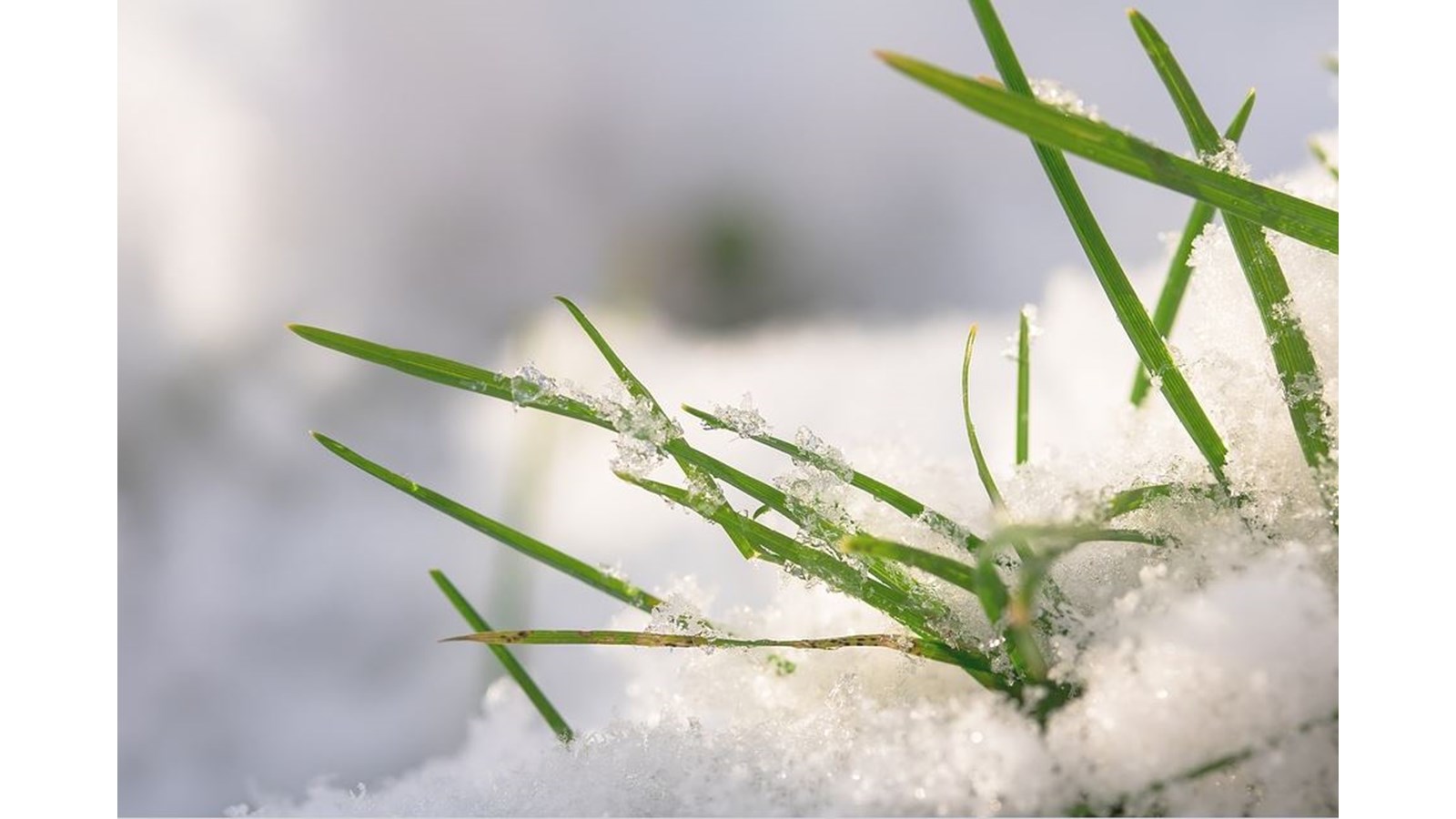L’arrivée du printemps rime avec le retour de certains règlements à Salaberry-de-Valleyfield  