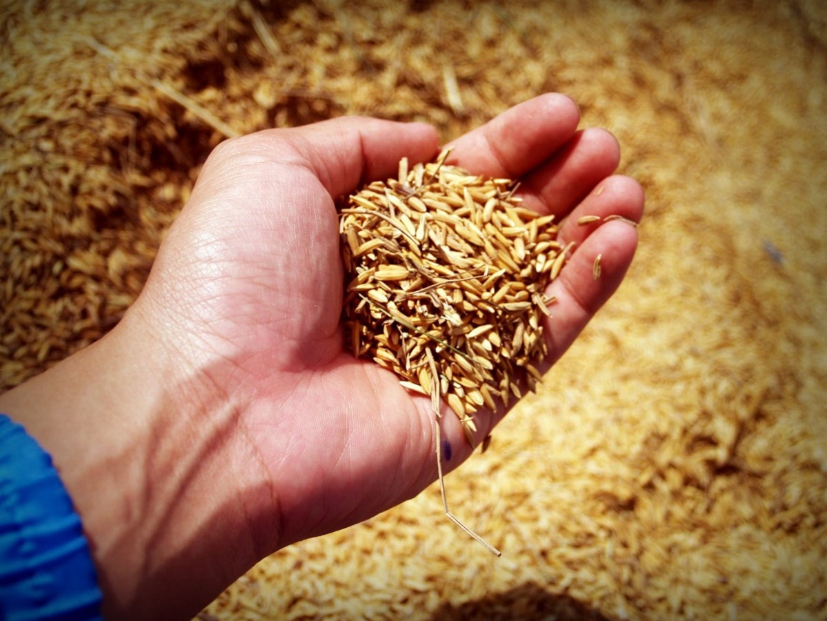 Les agriculteurs de la Ville de Rigaud sont invités à exprimer leur vision du développement durable
