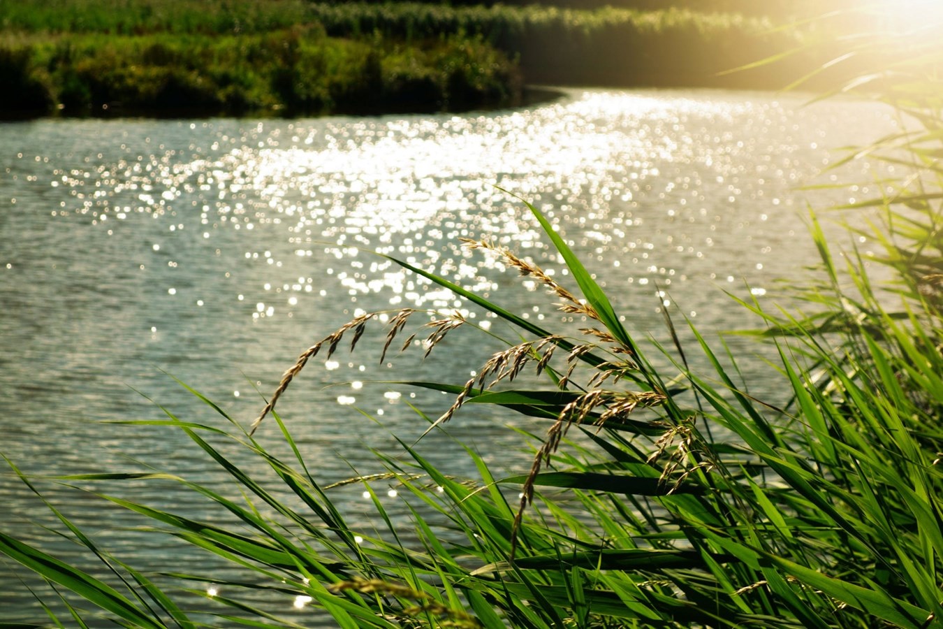 Le Show Courant : pour la protection de l'eau potable