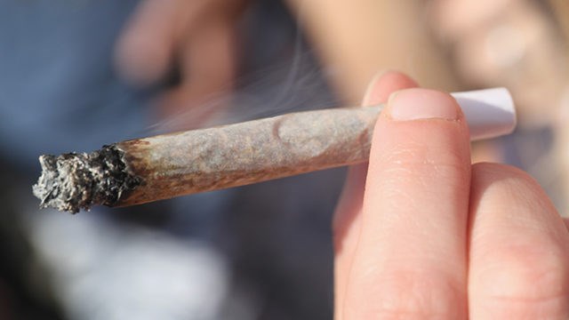 La cannabis à Saint-Lazare : pas n'importe où