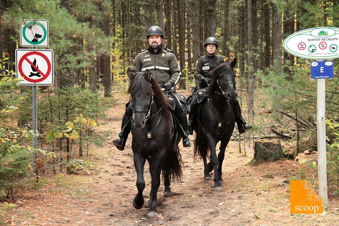 La police équestre va à la rencontre des Lazarois