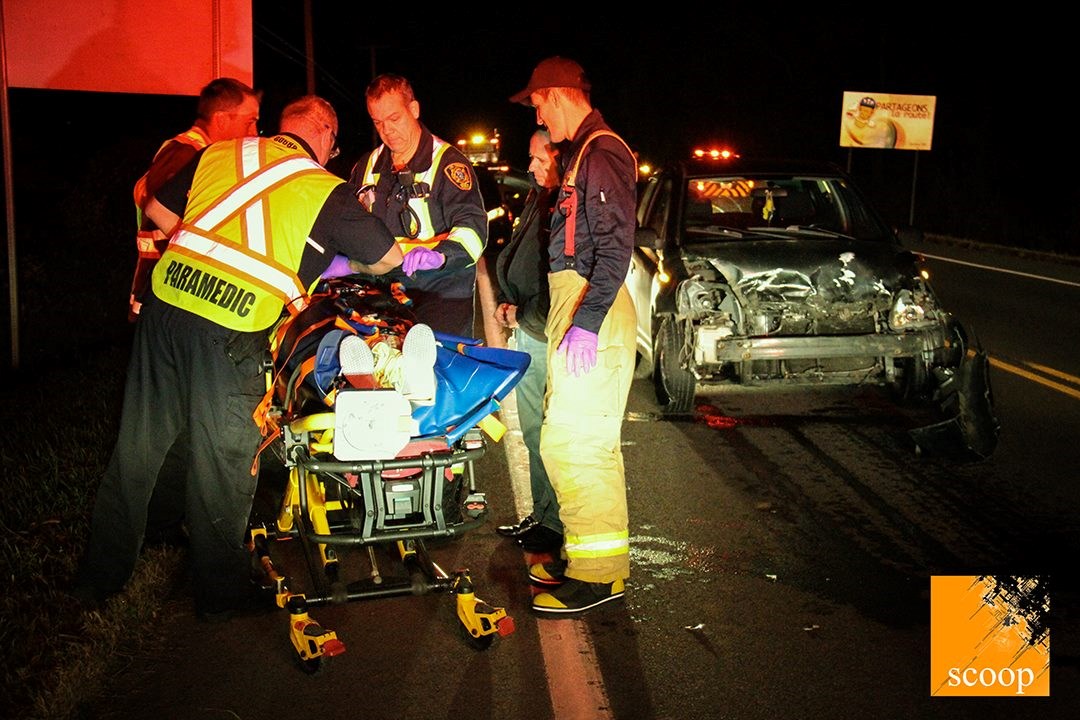 Collision entre une voiture et un chevreuil à Les Cèdres