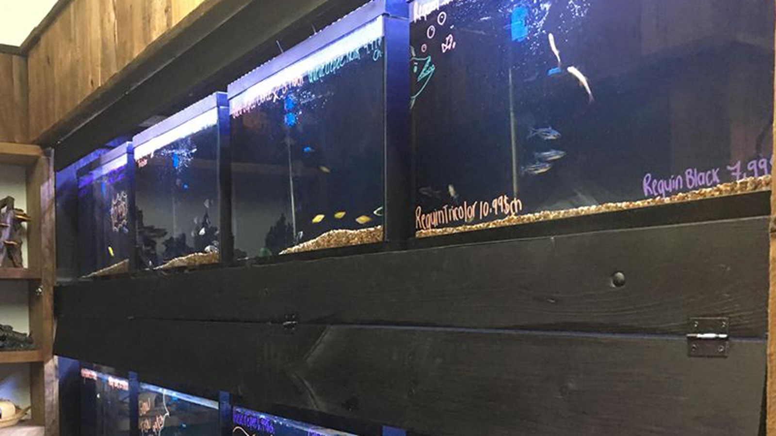 L'entreprise propose à sa clientèle plusieurs espèces de poissons à ramener à la maison.