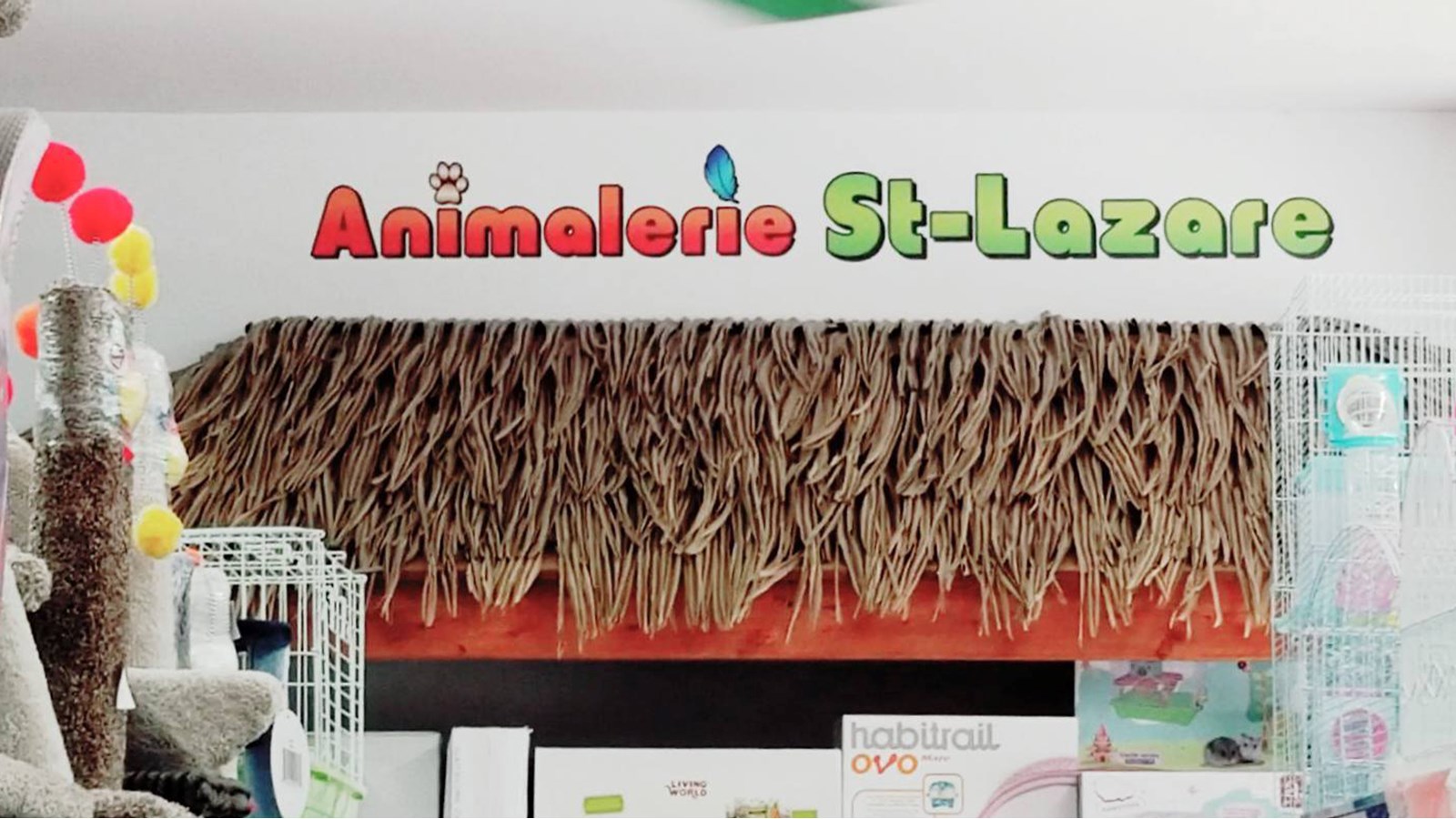 Animalerie St-Lazare: un paradis pour les amoureux d’animaux