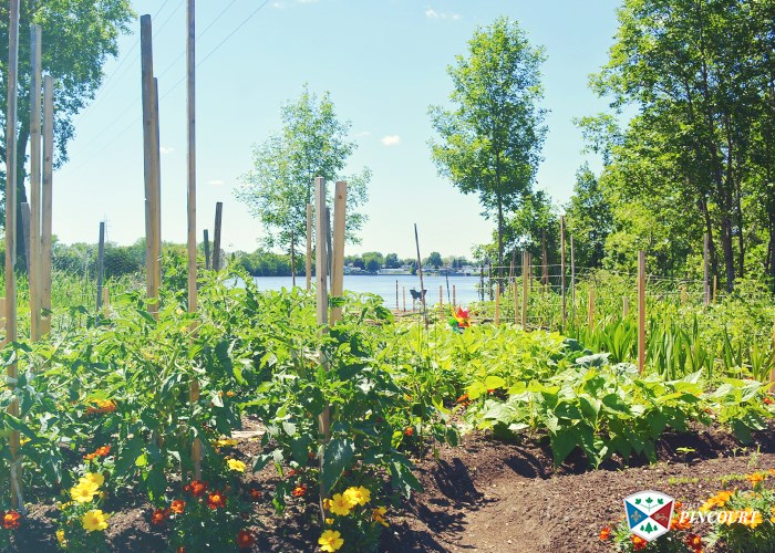 Les jardins communautaires de Pincourt remportent une bourse de 500 $