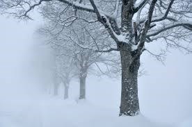 Dix centimètres de neige pourraient tomber sur la région au cours des prochaines heures 
