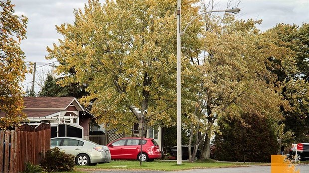 Lueur d'espoir pour les résidents du Parc-Max-Séjour à Les Cèdres