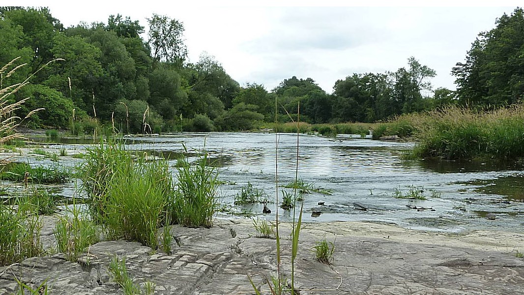 Rappel : Journée d’information sur l’aménagement des bandes riveraines