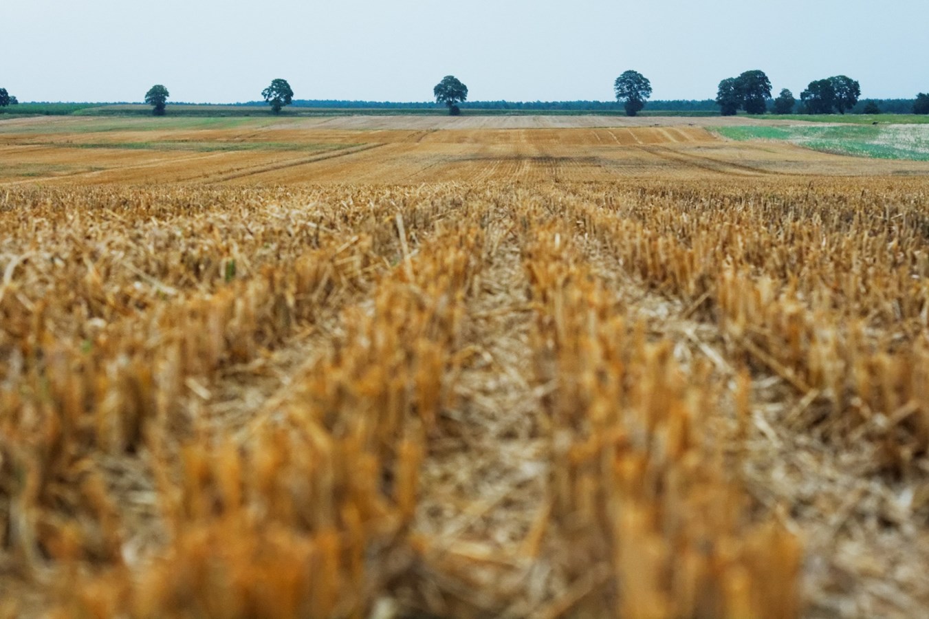 Les agriculteurs de la Montérégie interpellent le gouvernement