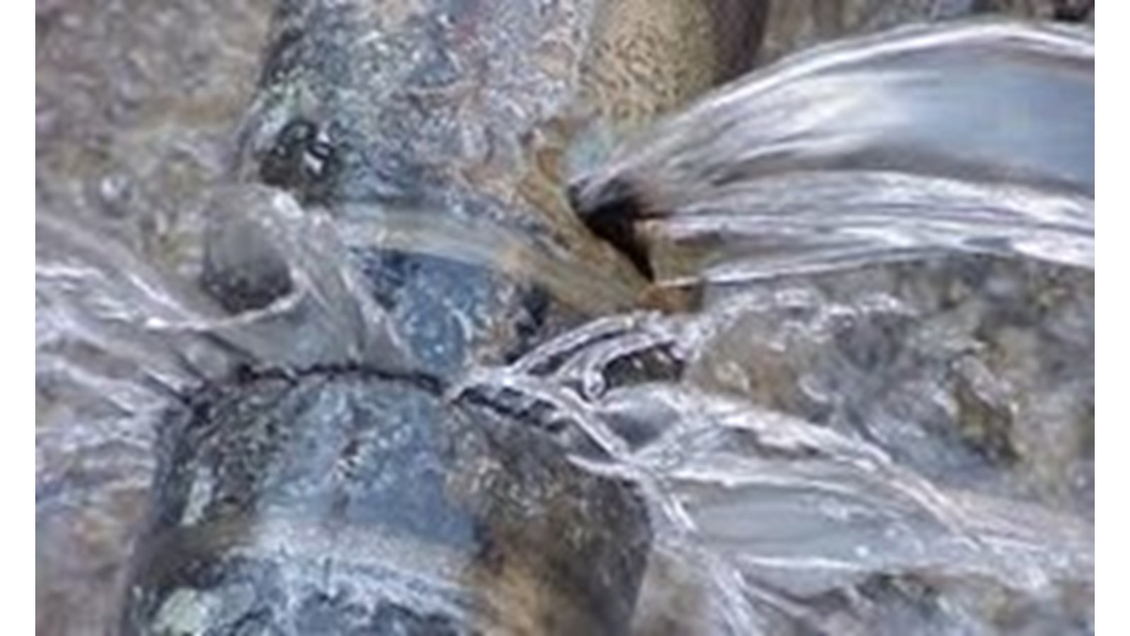 Coupure d’eau dans le secteur de la rue Saint-Pierre à Rigaud