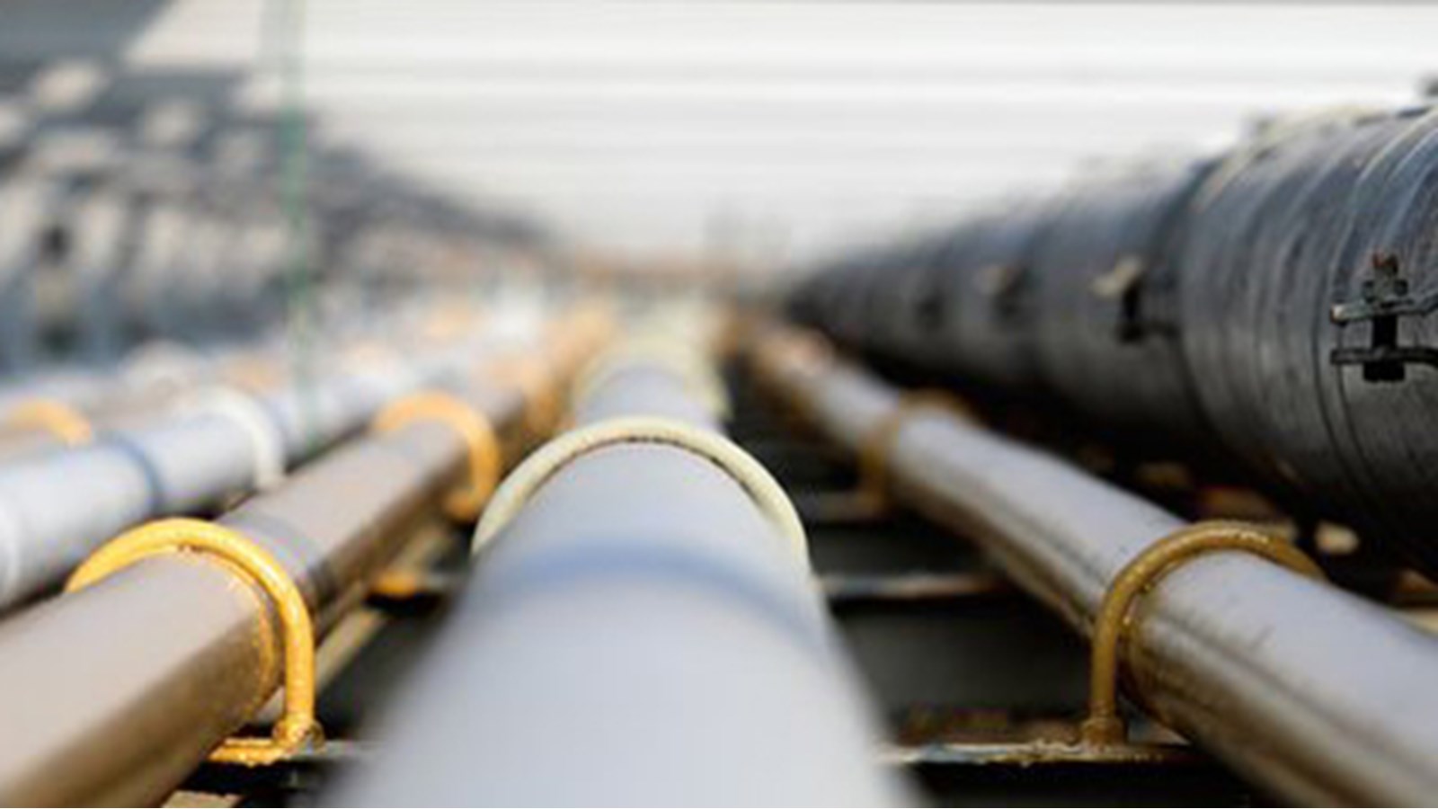Formation d’un comité de suivi en lien avec les licences d’hydrocarbures octroyées à l’entreprise Pétrolympic
