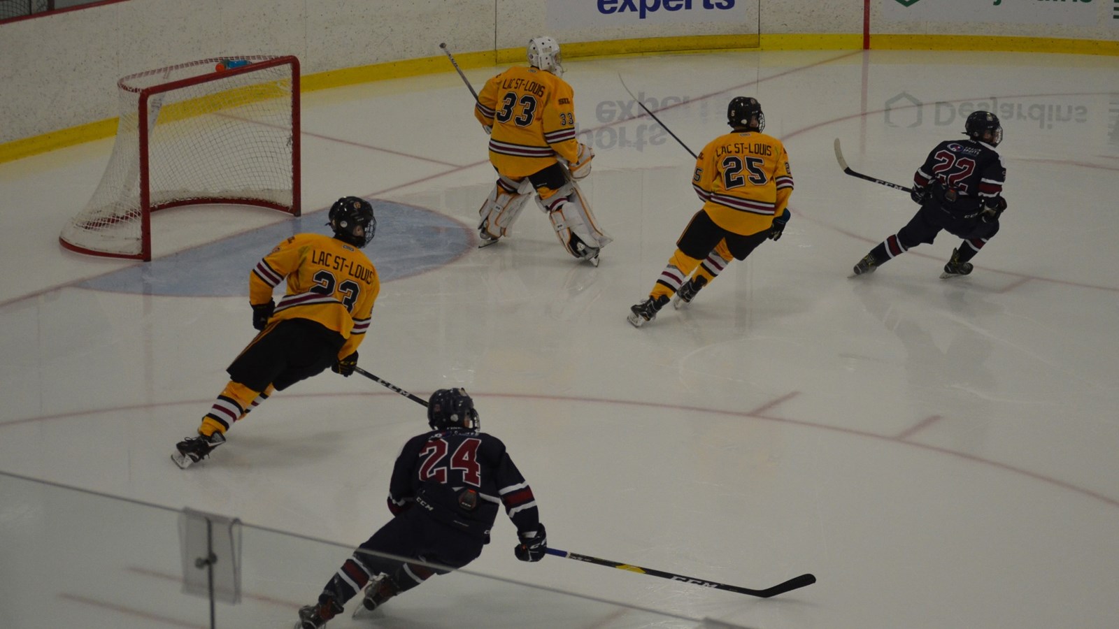 Belles performances en hockey masculin et en basketball en fauteuil roulant 