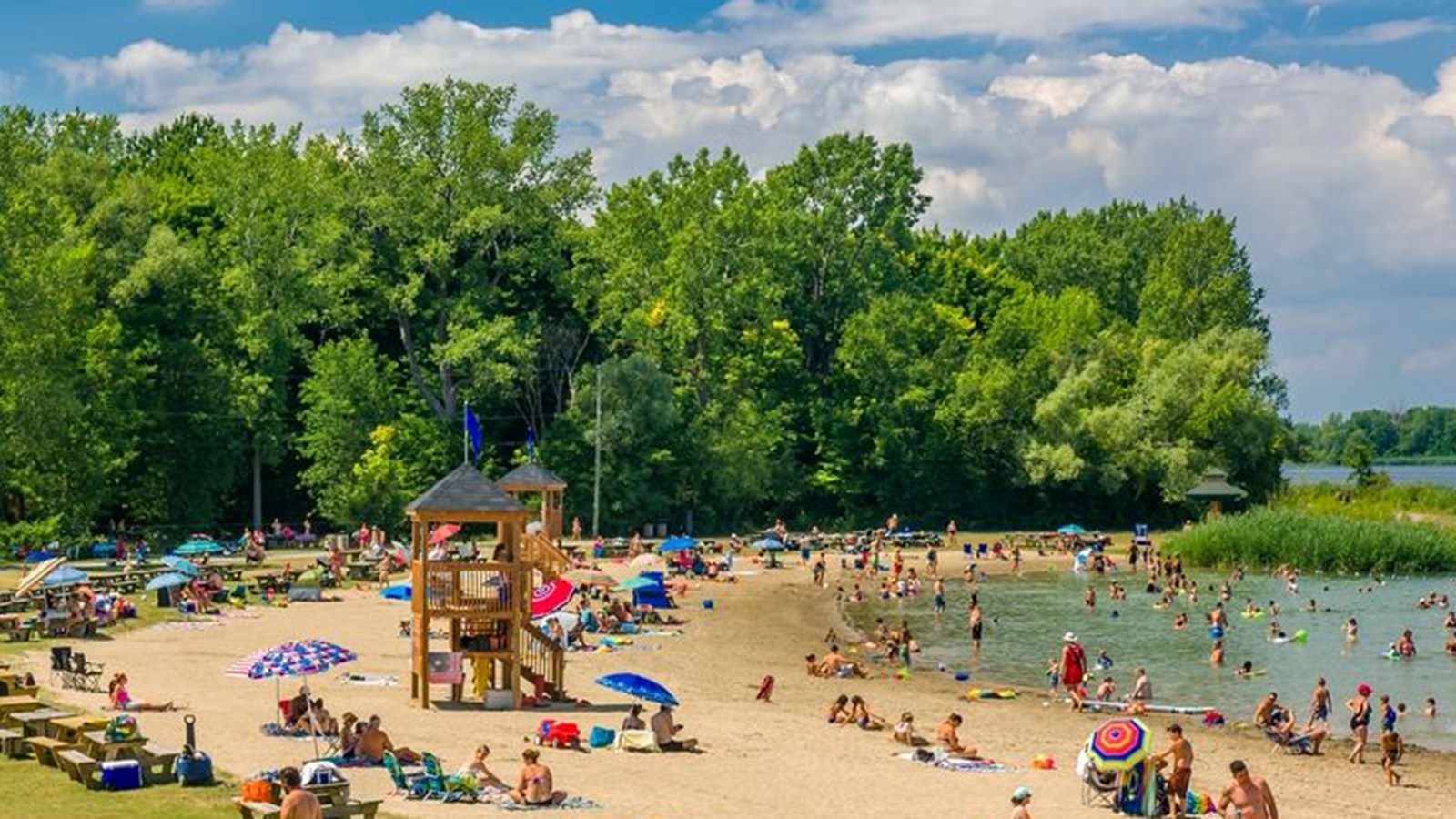 Restaurateur recherché à la plage du Parc régional des Îles-de-Saint-Timothée 