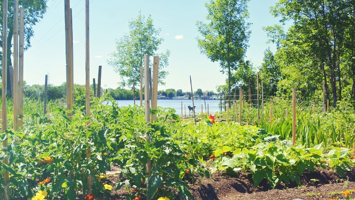 Jardins communautaires disponibles à Pincourt pour cet été