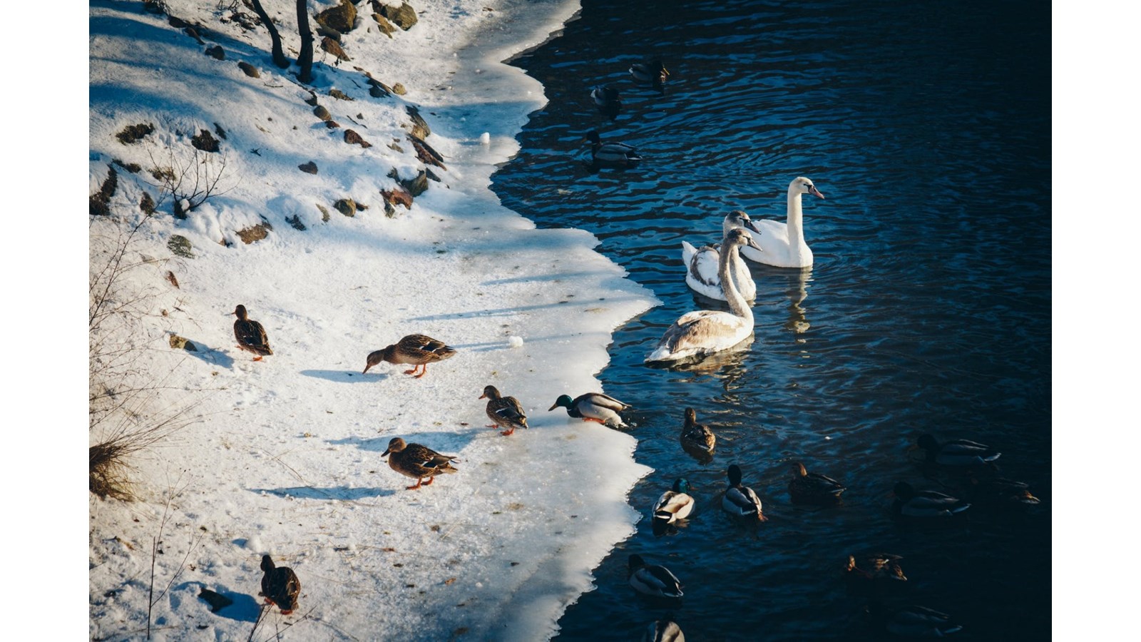 Au printemps, restez loin des cours d’eau gelés