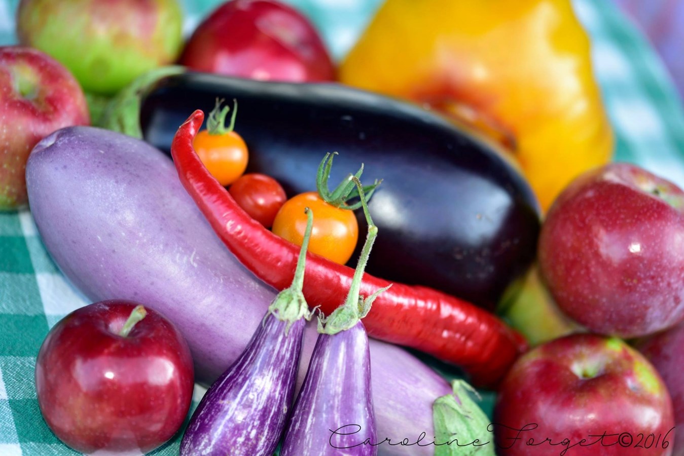 Ouverture de la neuvième saison du marché des saveurs de l'île Perrot