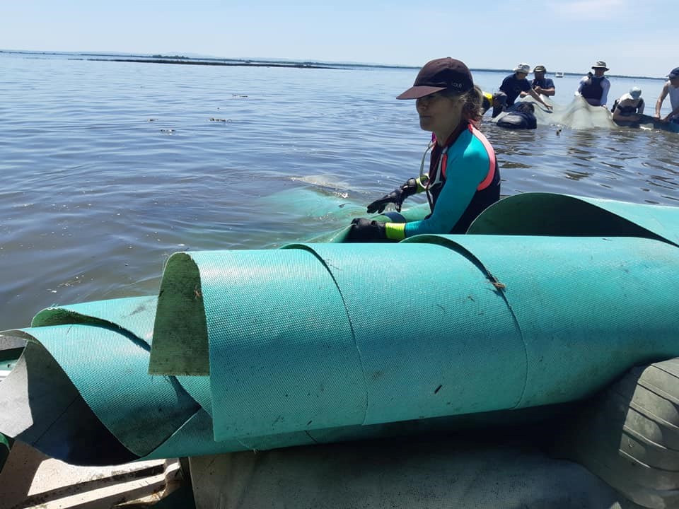 2392 livres de déchets sont sorties du lac Saint-François