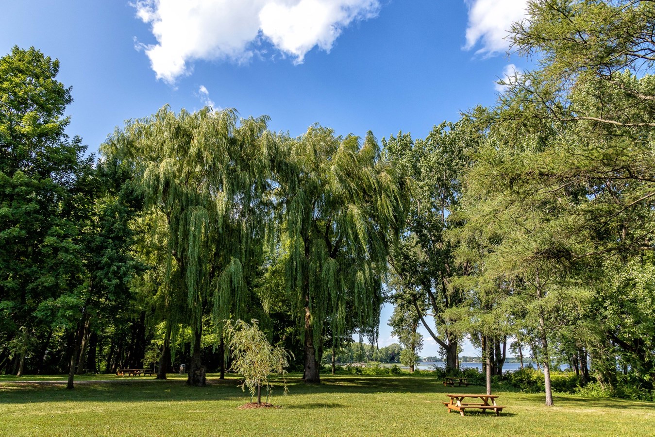 Le parc du 405 St-Charles s'animera tout l'été