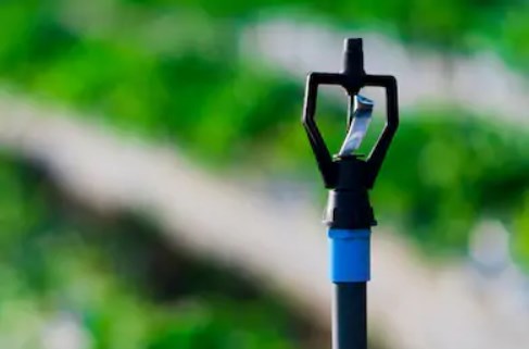 Utilisation extérieure excessive de l’eau distribuée par les réseaux d’aqueducs municipaux à Saint-Lazare