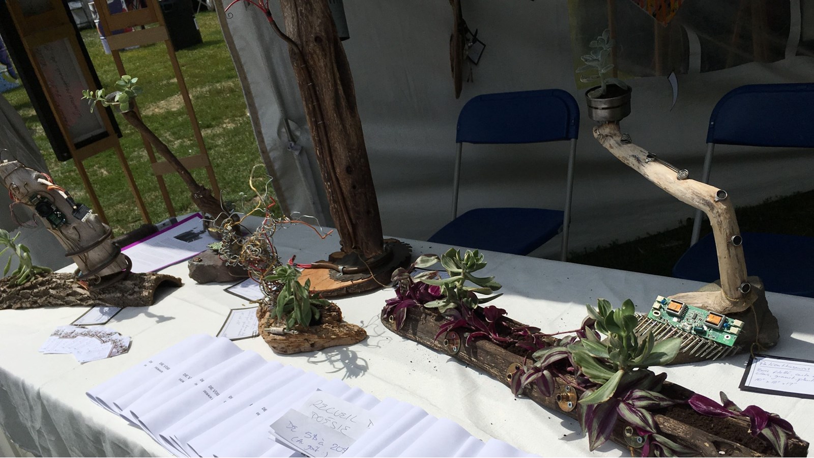Soleil et fleurs en quantité pour la 16e édition du Festival des arts de Salaberry-de-Valleyfield 