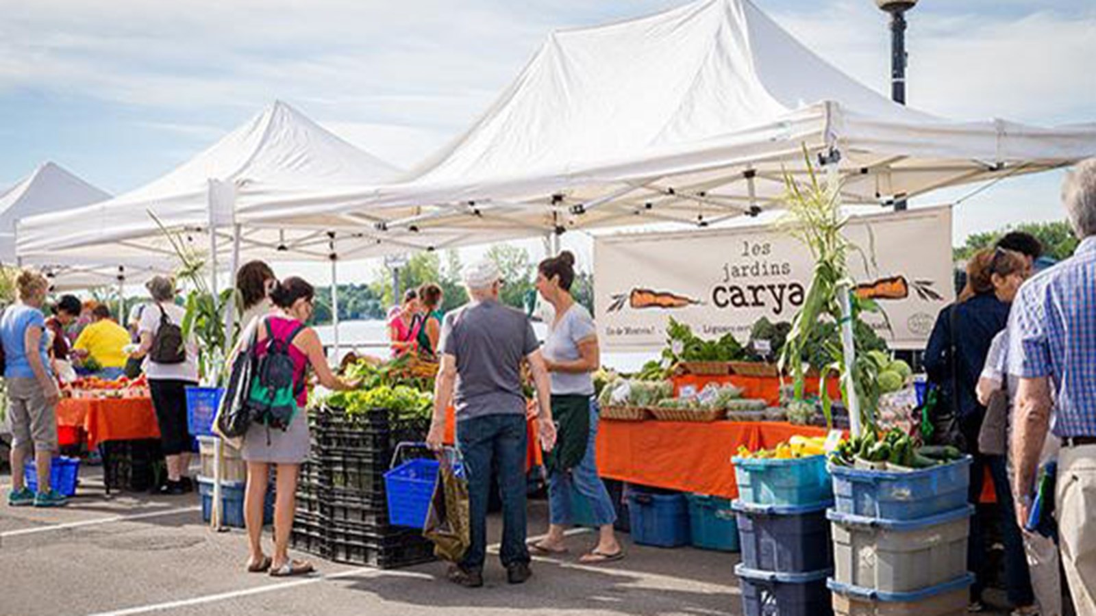 L'ail sous toutes ses formes en vedette au Marché Ste-Anne 