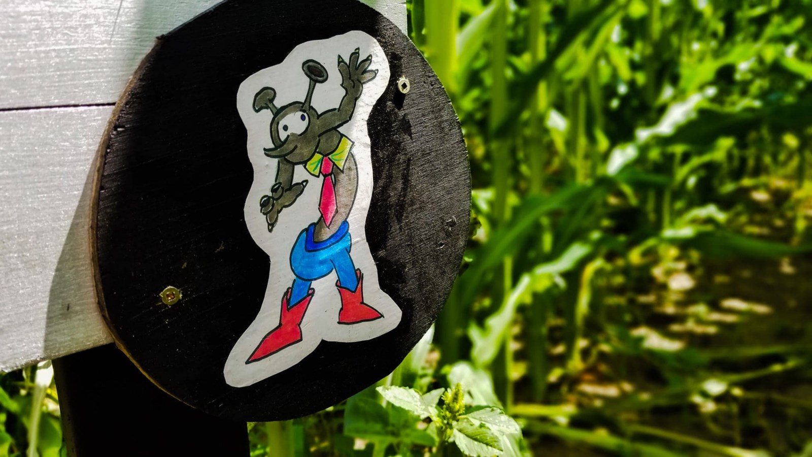 Les célibataires sont attendus au Verger Labonté ce vendredi
