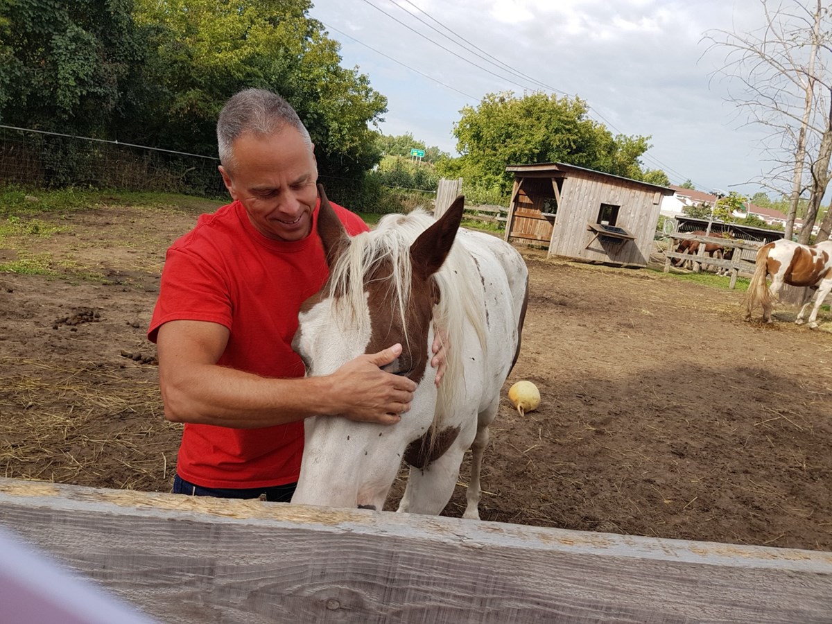 « Nous offrons aux chevaux une chance de vivre le reste de leur vie dans un environnement sécuritaire et paisible. » - Mike Grenier