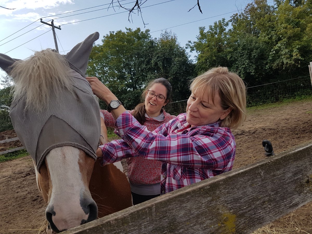« Nous offrons aux chevaux une chance de vivre le reste de leur vie dans un environnement sécuritaire et paisible. » - Mike Grenier