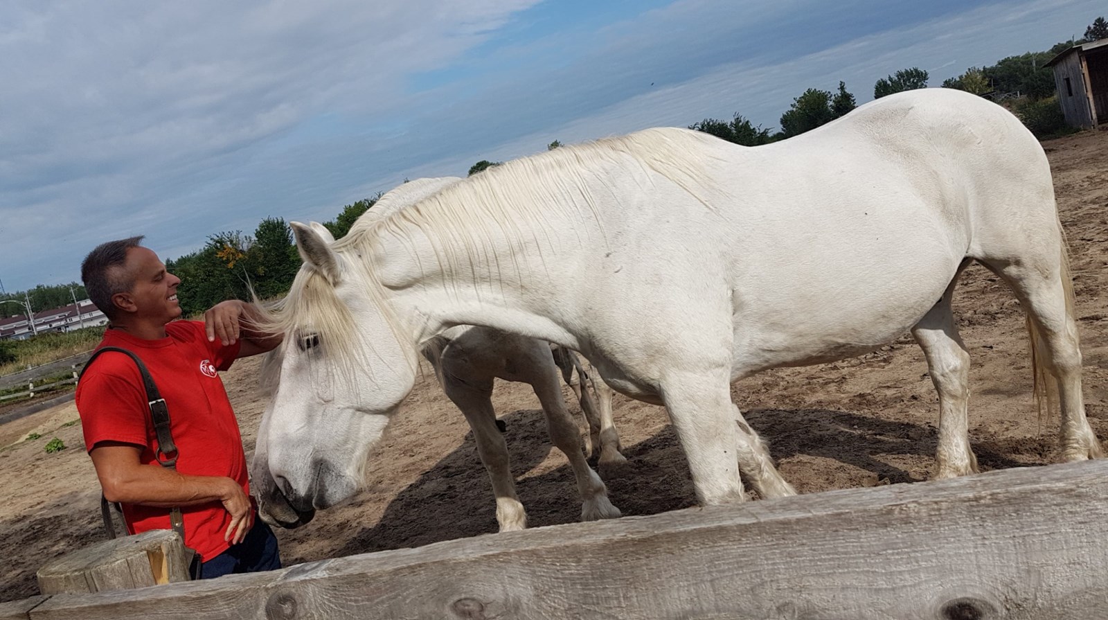 « Nous offrons aux chevaux une chance de vivre le reste de leur vie dans un environnement sécuritaire et paisible. » - Mike Grenier