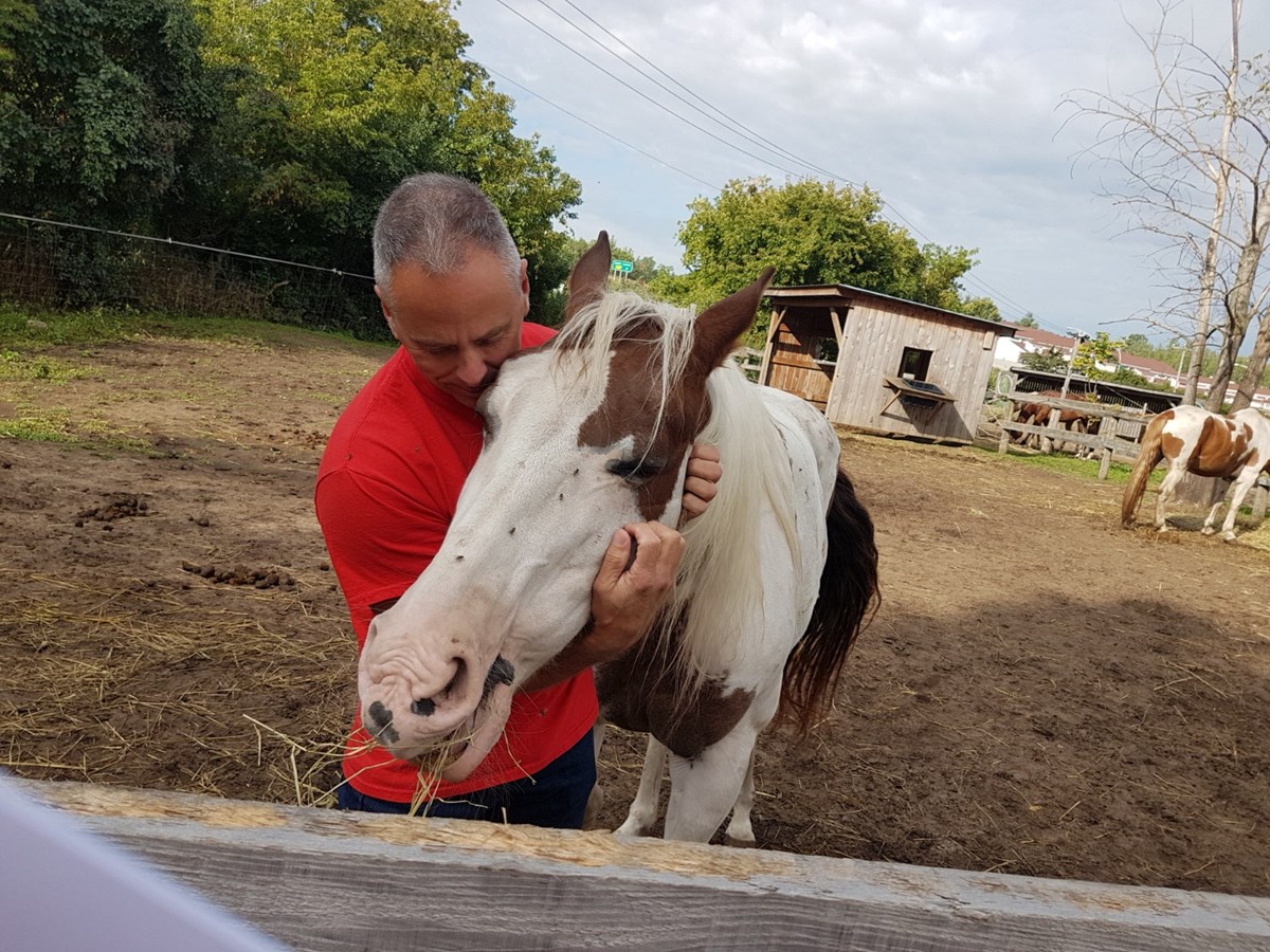 « Nous offrons aux chevaux une chance de vivre le reste de leur vie dans un environnement sécuritaire et paisible. » - Mike Grenier