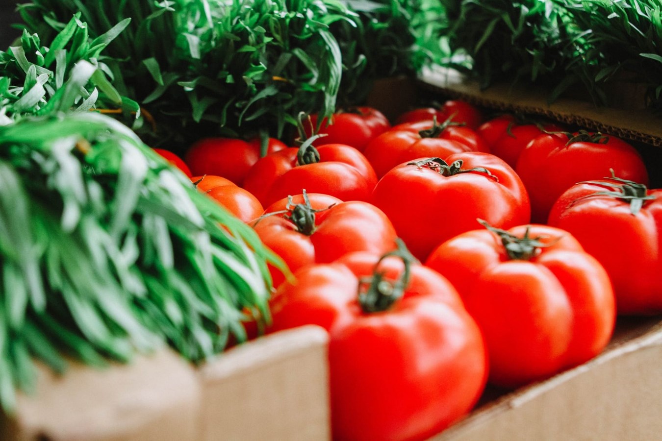 Le Marché des saveurs de L'Île-Perrot célèbre les moissons