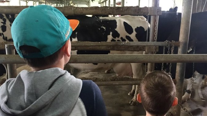 La Ferme Isabelle a accueillie de nombreux visiteurs le dimanche 8 septembre.