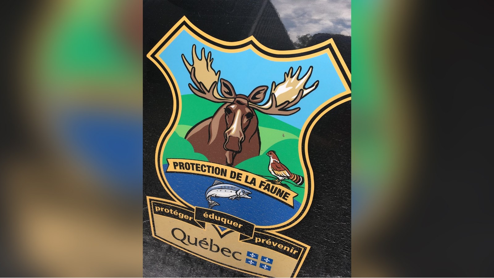 Construction d'un projet de 1,8 M$ dans l'Écoparc de Salaberry-de-Valleyfield