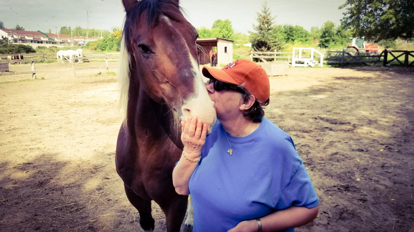 Non voyante, une femme s'implique depuis quatre ans au sein du refuge A Horse Tale de Vaudreuil-Dorion.