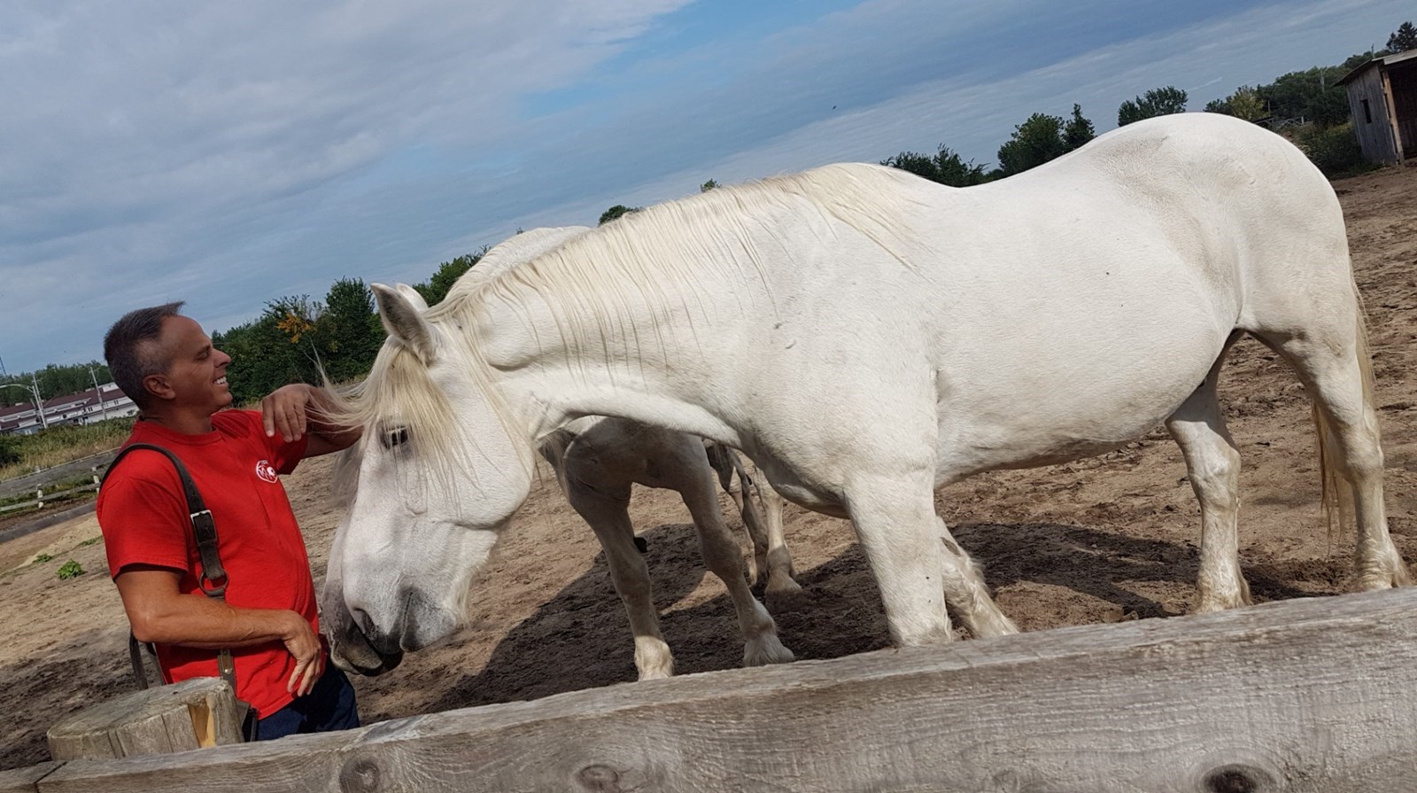 Le Secours Une histoire de Chevaux reçoit le prix Héros du cheval 2019