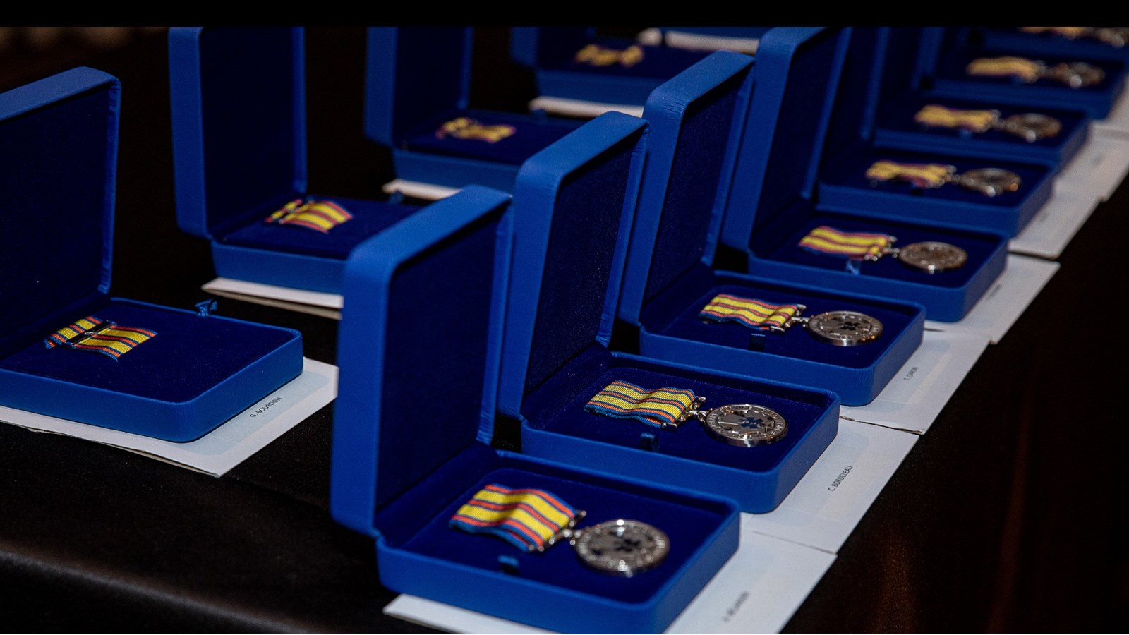 Onze paramédics de la région sont récompensés par le lieutenant-gouverneur