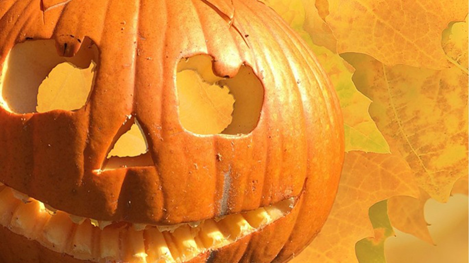 Le 19 octobre, on fête la citrouille à Salaberry-de-Valleyfield