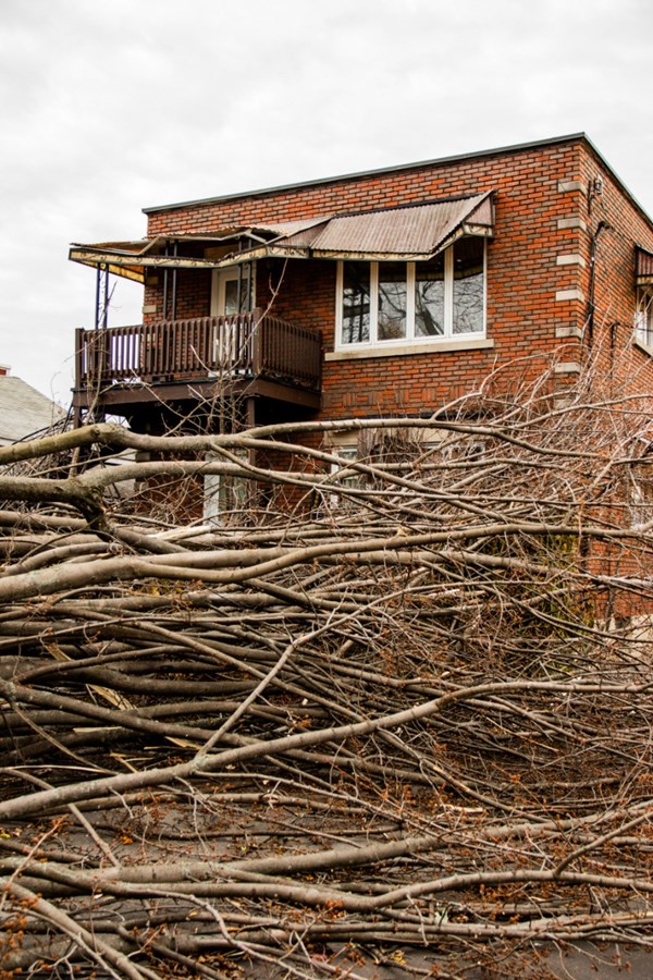 Un arbre cause d'importants dommages sur une résidence de la rue Ogilvie