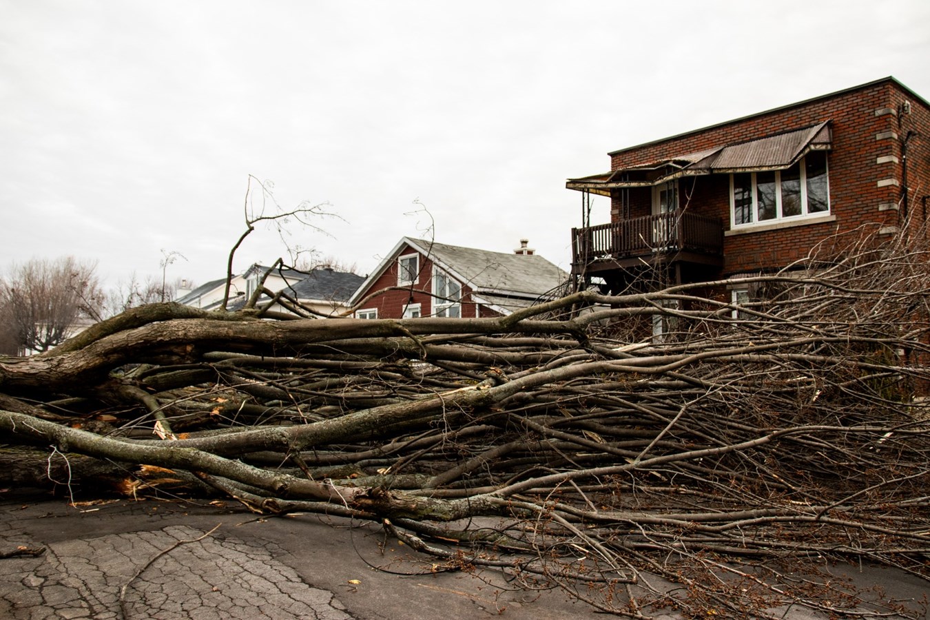 Un arbre cause d'importants dommages sur une résidence de la rue Ogilvie