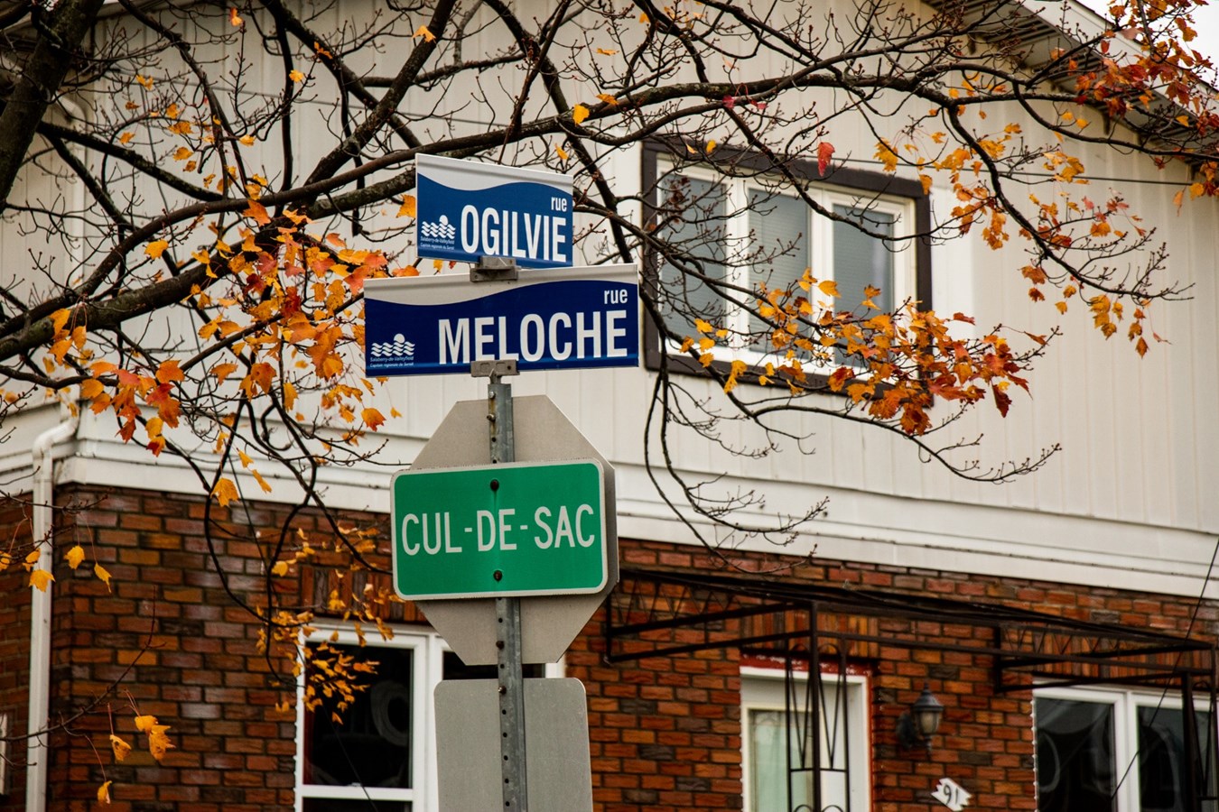 Un arbre cause d'importants dommages sur une résidence de la rue Ogilvie