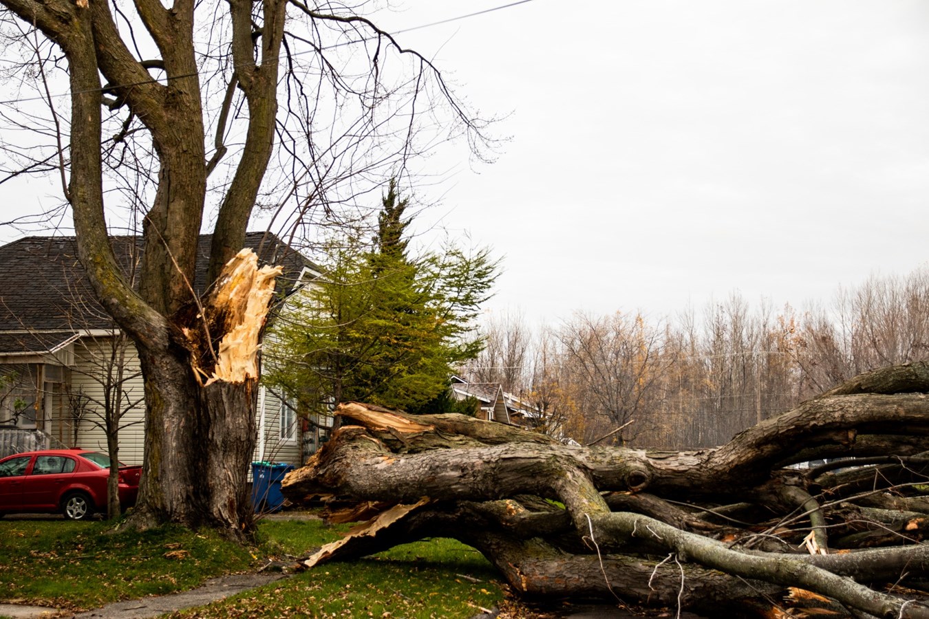 Un arbre cause d'importants dommages sur une résidence de la rue Ogilvie