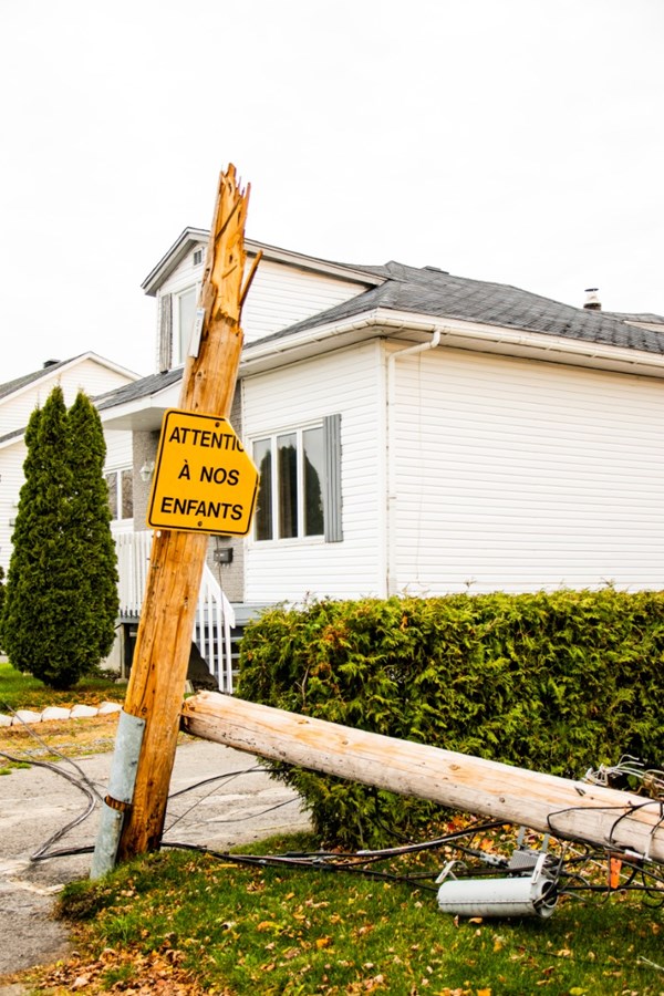 Un arbre cause d'importants dommages sur une résidence de la rue Ogilvie