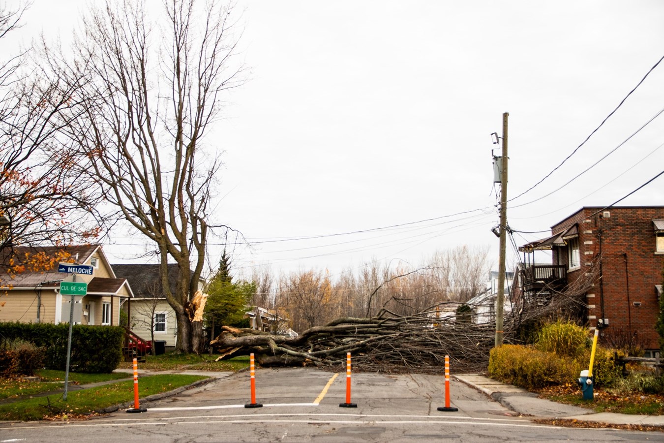 Un arbre cause d'importants dommages sur une résidence de la rue Ogilvie