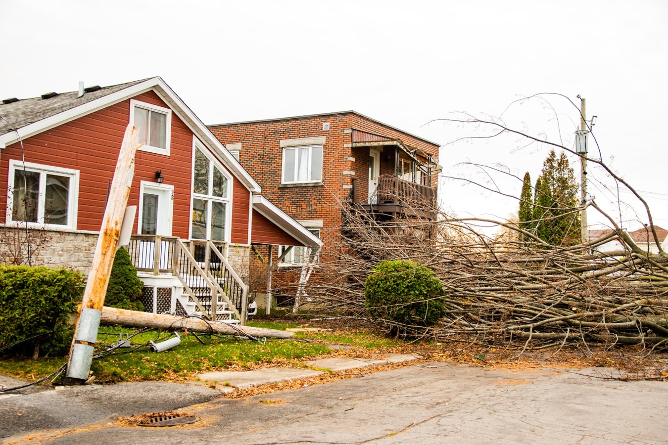Un arbre cause d'importants dommages sur une résidence de la rue Ogilvie