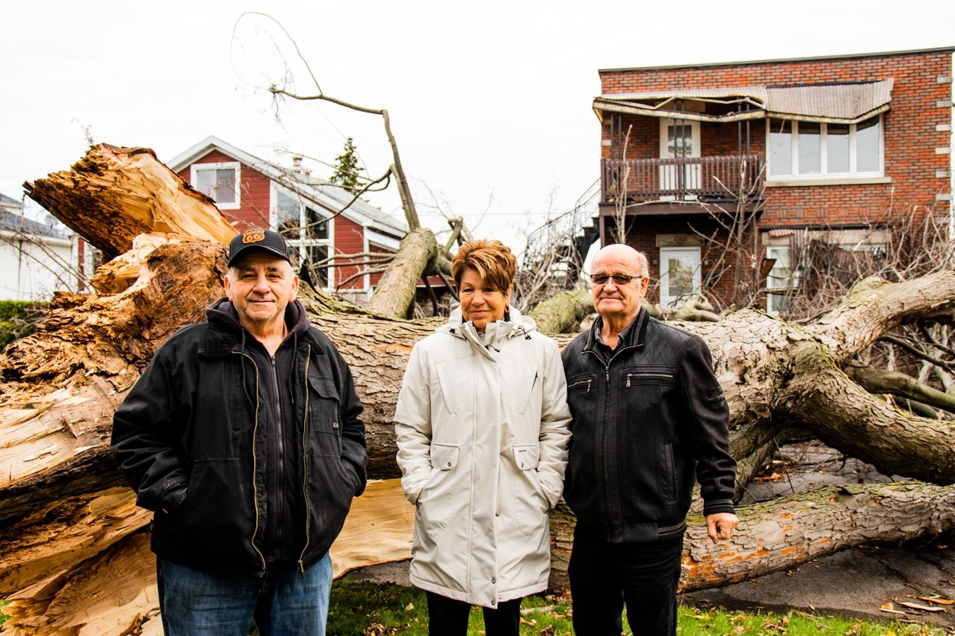 Un arbre cause d'importants dommages sur une résidence de la rue Ogilvie